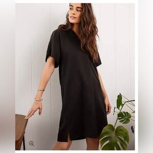 Ann Taylor Collared Popover Shift Dress - NWT